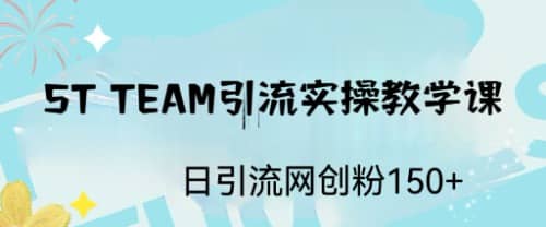 ST TEAM引流实操课，日引流网创粉100+-布丁源码-专业的网站源码代码分享平台!