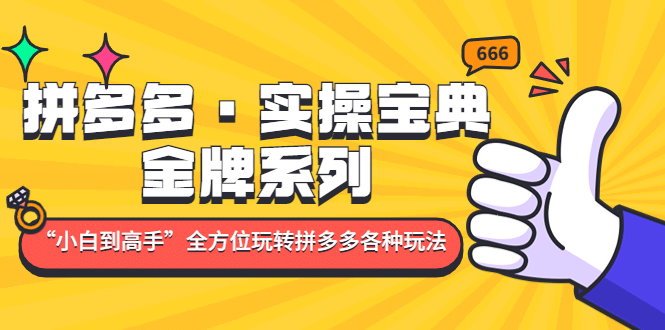 拼多多·实操宝典：金牌系列“小白到高手”带你全方位玩转拼多多各种玩法-布丁源码-专业的网站源码代码分享平台!