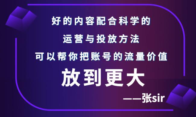 张sir账号流量增长课，告别海王流量，让你的流量更精准-布丁源码-专业的网站源码代码分享平台!