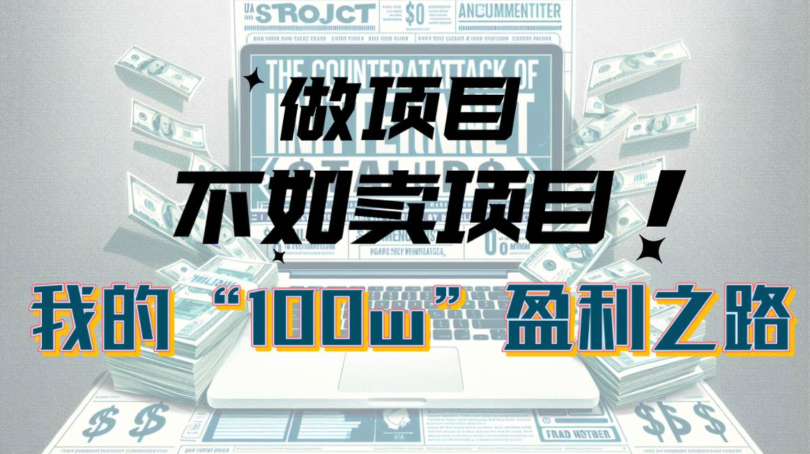 为什么做项目不如卖项目？我的100W+盈利之路-布丁源码-专业的网站源码代码分享平台!