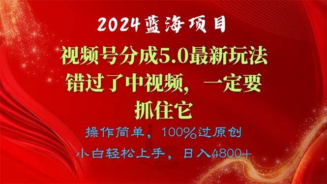2024蓝海项目，视频号分成计划5.0最新玩法，错过了中视频，一定要抓住…-布丁源码-专业的网站源码代码分享平台!