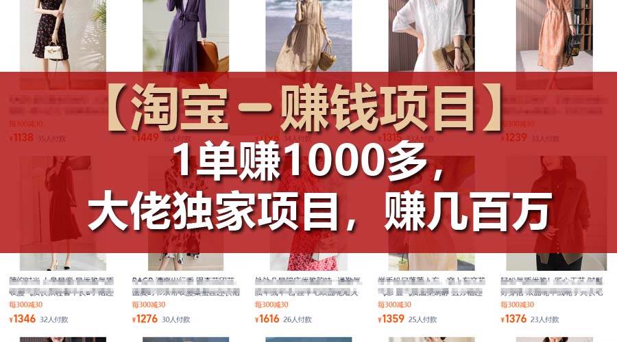 【淘宝赚钱项目】1单可赚1000多，大佬独家项目，年赚几百万-布丁源码-专业的网站源码代码分享平台!