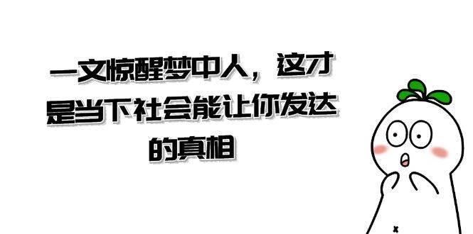 某公众号付费文章《一文 惊醒梦中人，这才是当下社会能让你发达的真相》-布丁源码-专业的网站源码代码分享平台!