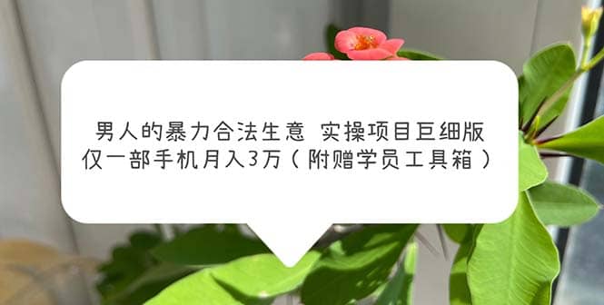 男人的暴力合法生意实操项目巨细版：仅一部手机月入3w（附赠学员工具箱）-布丁源码-专业的网站源码代码分享平台!