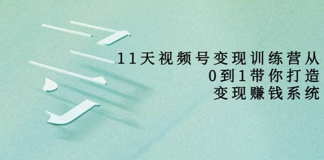 好望角·11天视频号变现训练营，从0到1打造变现赚钱系统（价值398）-布丁源码-专业的网站源码代码分享平台!
