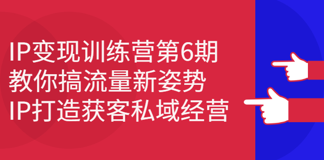 IP变现训练营第6期：教你搞流量新姿势，IP打造获客私域经营-布丁源码-专业的网站源码代码分享平台!