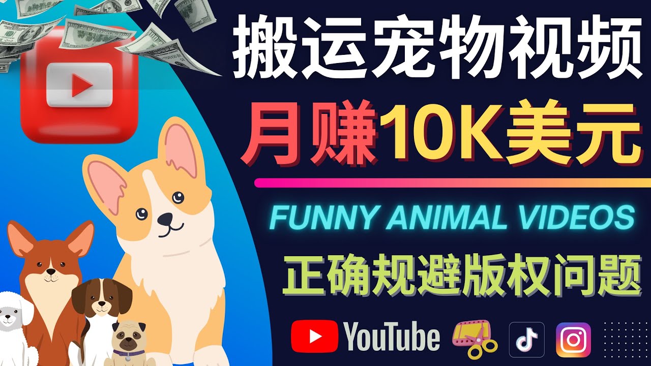 搬运TIKTOK视频到YouTube，并进行二次创作，月赚1万美元以上-布丁源码-专业的网站源码代码分享平台!