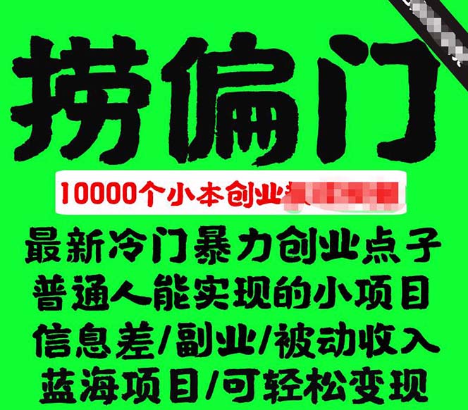 千款捞偏门小本创业小项目，总有一款适合你【无水印】-布丁源码-专业的网站源码代码分享平台!