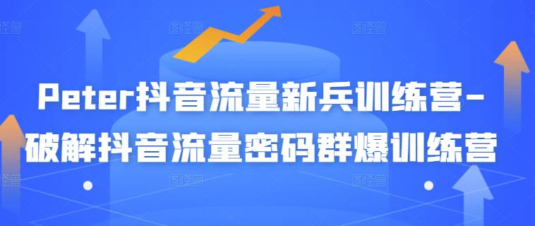 Peter抖音流量新兵训练营-破解抖音流量密码群爆训练营（新兵）-布丁源码-专业的网站源码代码分享平台!