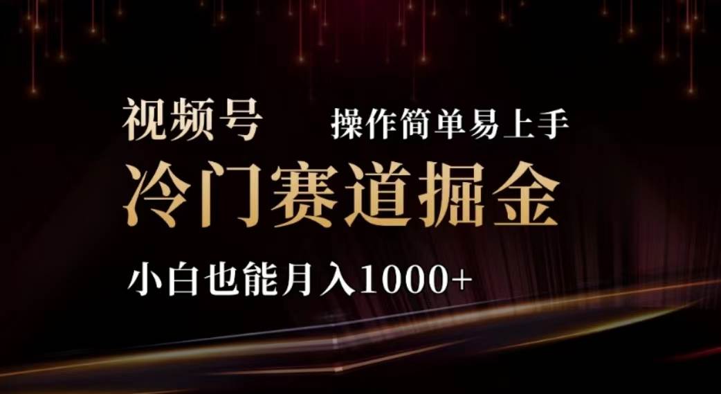 2024视频号冷门赛道掘金，操作简单轻松上手，小白也能月入1000+-布丁源码-专业的网站源码代码分享平台!