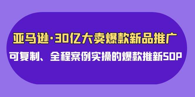 亚马逊30亿·大卖爆款新品推广，可复制、全程案例实操的爆款推新SOP-布丁源码-专业的网站源码代码分享平台!