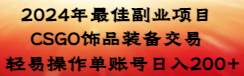 2024年最佳副业项目 CSGO饰品装备交易 轻易操作单账号日入200+-布丁源码-专业的网站源码代码分享平台!