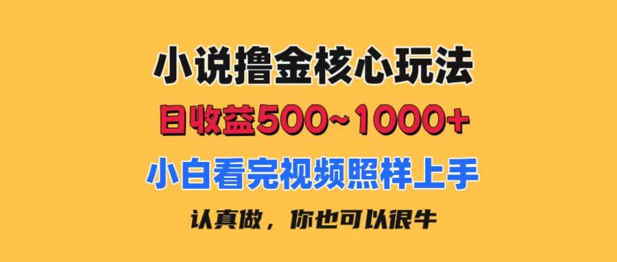 小说撸金核心玩法，日收益500-1000+，小白看完照样上手，0成本有手就行-布丁源码-专业的网站源码代码分享平台!
