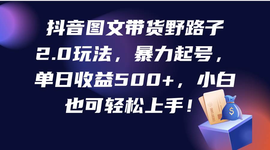 抖音图文带货野路子2.0玩法，暴力起号，单日收益500+，小白也可轻松上手！-布丁源码-专业的网站源码代码分享平台!