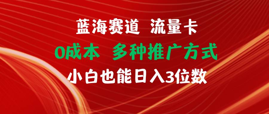 蓝海赛道 流量卡 0成本 小白也能日入三位数-布丁源码-专业的网站源码代码分享平台!