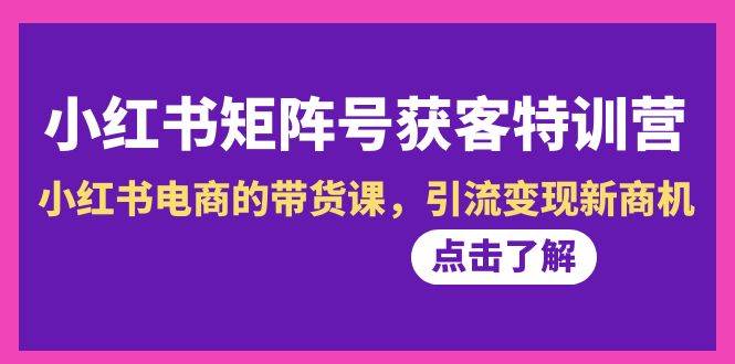 小红书-矩阵号获客特训营-第10期，小红书电商的带货课，引流变现新商机-布丁源码-专业的网站源码代码分享平台!