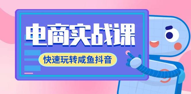 电商实战课，快速玩转咸鱼抖音，全体系全流程精细化咸鱼电商运营-71节课-布丁源码-专业的网站源码代码分享平台!