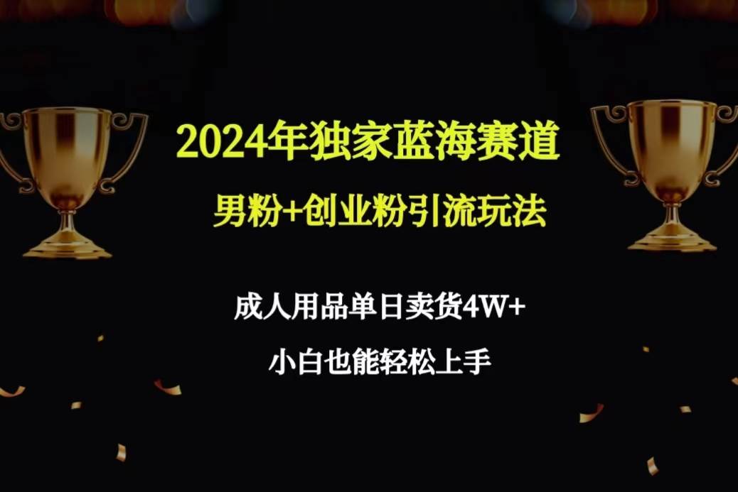 2024年独家蓝海赛道男粉+创业粉引流玩法，成人用品单日卖货4W+保姆教程-布丁源码-专业的网站源码代码分享平台!