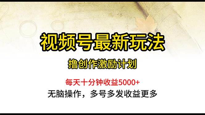 视频号最新玩法，每日一小时月入5000+-布丁源码-专业的网站源码代码分享平台!