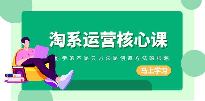 淘系-运营核心课，你学的不是只方法是创造方法的根源（190节课）-布丁源码-专业的网站源码代码分享平台!