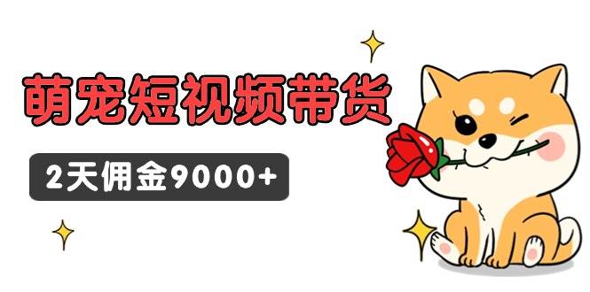 东哲日记·萌宠短视频带货，2天佣金9000+-布丁源码-专业的网站源码代码分享平台!