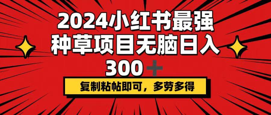 2024小红书最强种草项目，无脑日入300+，复制粘帖即可，多劳多得-布丁源码-专业的网站源码代码分享平台!