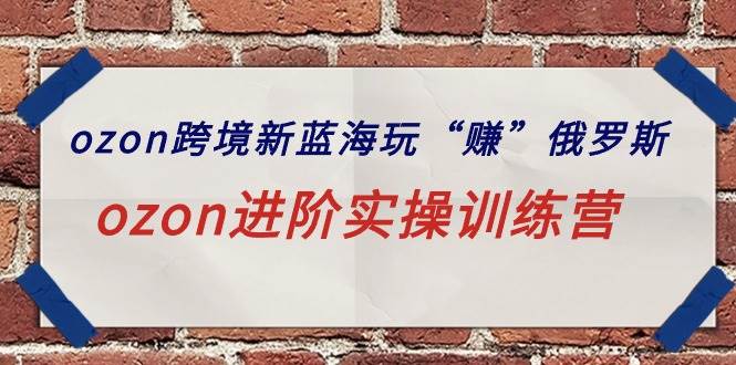 ozon跨境新蓝海玩“赚”俄罗斯，ozon进阶实操训练营-布丁源码-专业的网站源码代码分享平台!