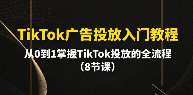 TikTok广告投放入门教程，从0到1掌握TikTok投放的全流程（8节课）-布丁源码-专业的网站源码代码分享平台!