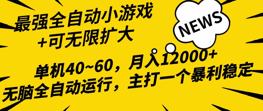 2024最新全网独家小游戏全自动，单机40~60,稳定躺赚，小白都能月入过万-布丁源码-专业的网站源码代码分享平台!