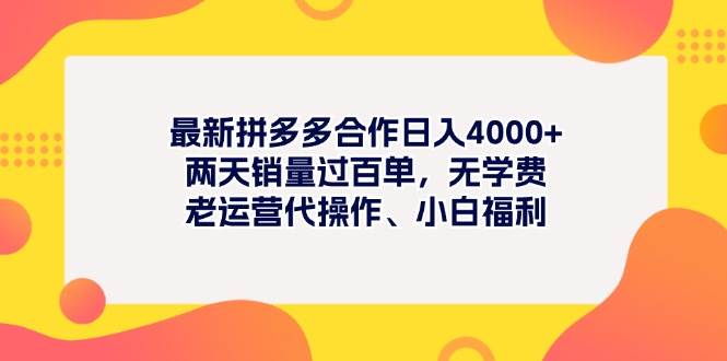 最新拼多多项目日入4000+两天销量过百单，无学费、老运营代操作、小白福利-布丁源码-专业的网站源码代码分享平台!