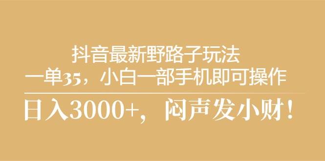 抖音最新野路子玩法，一单35，小白一部手机即可操作，，日入3000+，闷…-布丁源码-专业的网站源码代码分享平台!