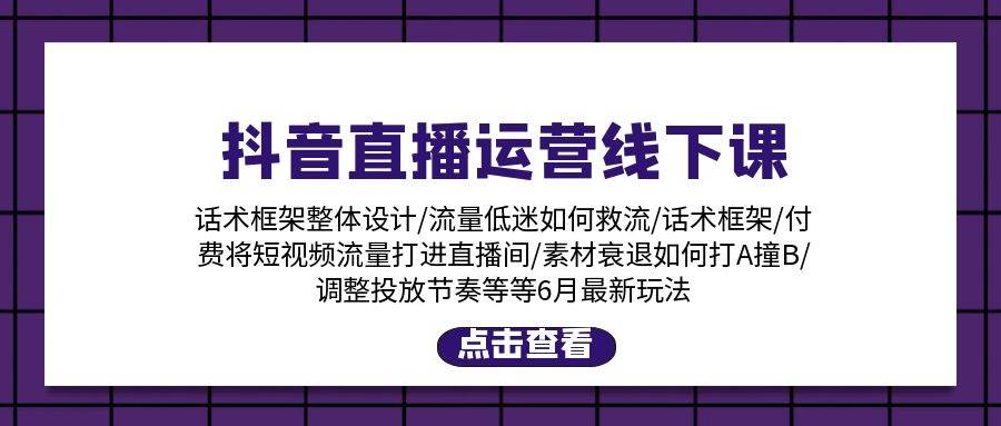 抖音直播运营线下课：话术框架/付费流量直播间/素材A撞B/等6月新玩法-布丁源码-专业的网站源码代码分享平台!
