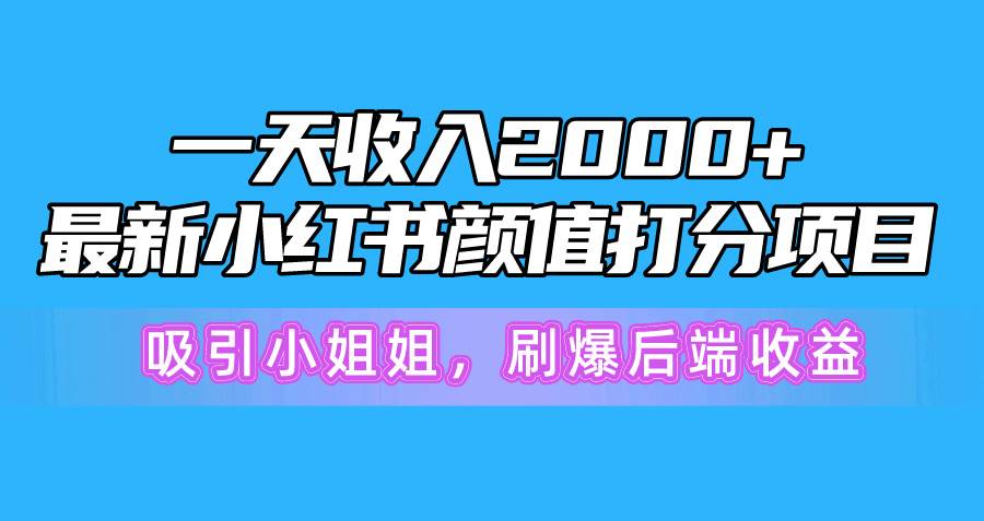 一天收入2000+，最新小红书颜值打分项目，吸引小姐姐，刷爆后端收益-布丁源码-专业的网站源码代码分享平台!