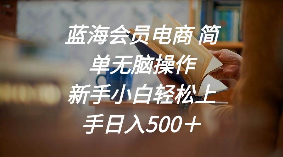 蓝海会员电商 简单无脑操作 新手小白轻松上手日入500＋-布丁源码-专业的网站源码代码分享平台!