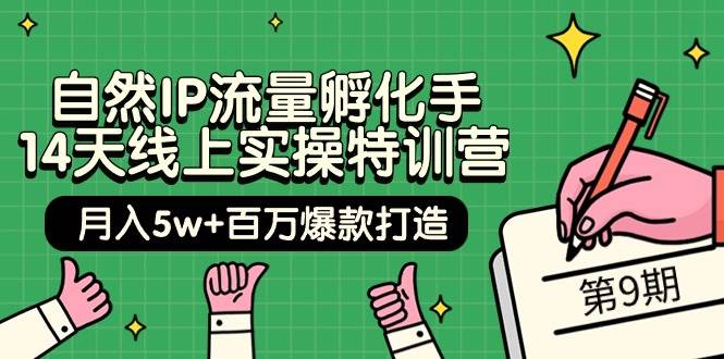 自然IP流量孵化手 14天线上实操特训营【第9期】月入5w+百万爆款打造 (74节)-布丁源码-专业的网站源码代码分享平台!