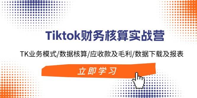 Tiktok财务核算实战营：TK业务模式/数据核算/应收款及毛利/数据下载及报表-布丁源码-专业的网站源码代码分享平台!