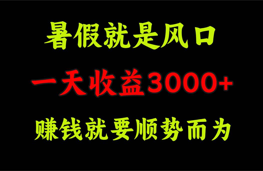 一天收益3000+ 赚钱就是顺势而为，暑假就是风口-布丁源码-专业的网站源码代码分享平台!
