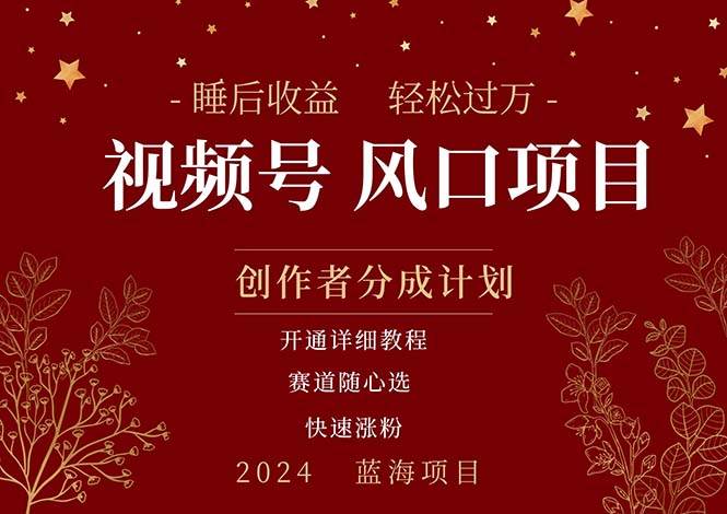 拥有睡眠收益的微信视频号大风口项目，轻松月入过万+，多赛道选择，可…-布丁源码-专业的网站源码代码分享平台!