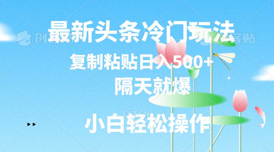 最新头条冷门玩法，隔天就爆，复制粘贴日入500+-布丁源码-专业的网站源码代码分享平台!