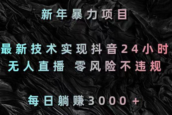 新年暴力项目，最新技术实现抖音24小时无人直播 零风险不违规 每日躺赚3000-布丁源码-专业的网站源码代码分享平台!