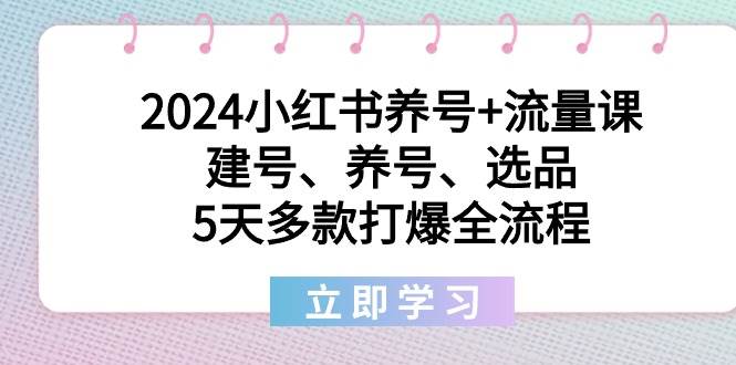 2024小红书养号+流量课：建号、养号、选品，5天多款打爆全流程-布丁源码-专业的网站源码代码分享平台!
