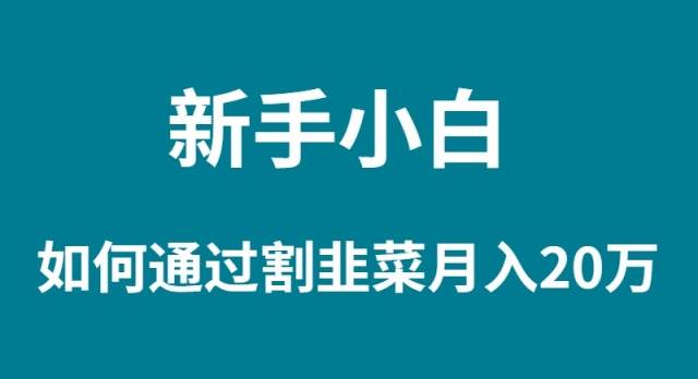 新手小白如何通过割韭菜月入 20W-布丁源码-专业的网站源码代码分享平台!