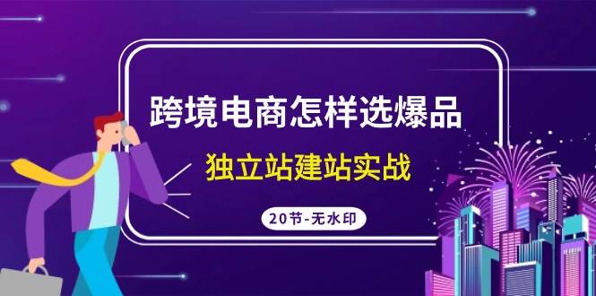 跨境电商怎样选爆品，独立站建站实战（20节高清无水印课）-布丁源码-专业的网站源码代码分享平台!