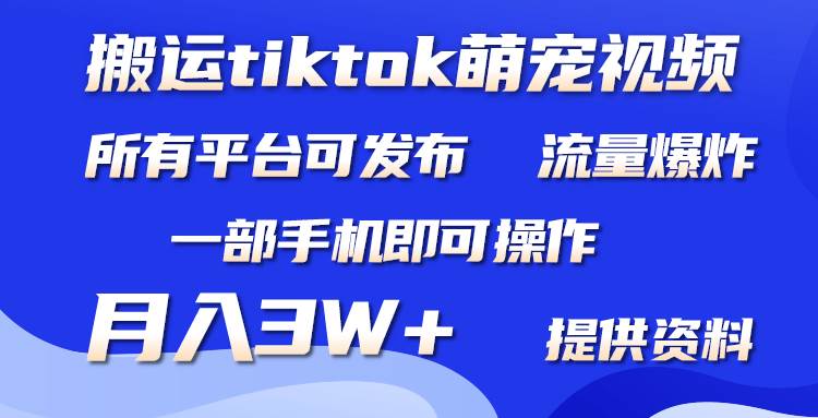 搬运Tiktok萌宠类视频，一部手机即可。所有短视频平台均可操作，月入3W+-布丁源码-专业的网站源码代码分享平台!