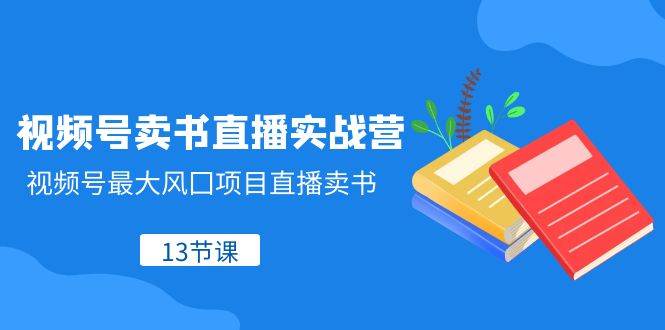 视频号-卖书直播实战营，视频号最大风囗项目直播卖书（13节课）-布丁源码-专业的网站源码代码分享平台!