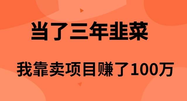 当了3年韭菜，我靠卖项目赚了100万-布丁源码-专业的网站源码代码分享平台!