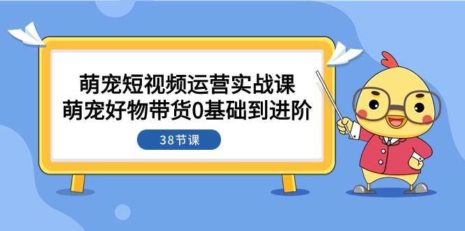 萌宠·短视频运营实战课：萌宠好物带货0基础到进阶（38节课）-布丁源码-专业的网站源码代码分享平台!