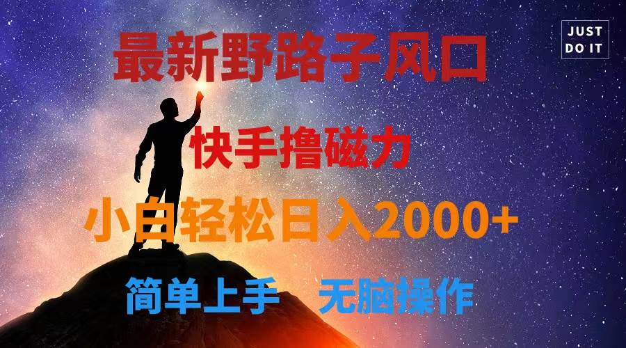 最新风口！快手撸磁力，野路子，小白无脑操作日入2000+-布丁源码-专业的网站源码代码分享平台!