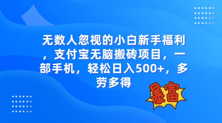 无数人忽视的项目，支付宝无脑搬砖项目，一部手机即可操作，轻松日入500+-布丁源码-专业的网站源码代码分享平台!