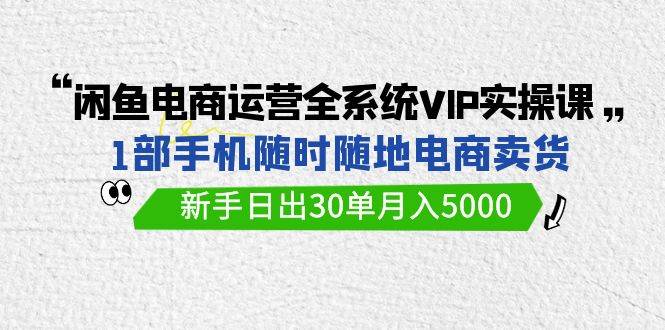 闲鱼电商运营全系统VIP实战课，1部手机随时随地卖货，新手日出30单月入5000-布丁源码-专业的网站源码代码分享平台!